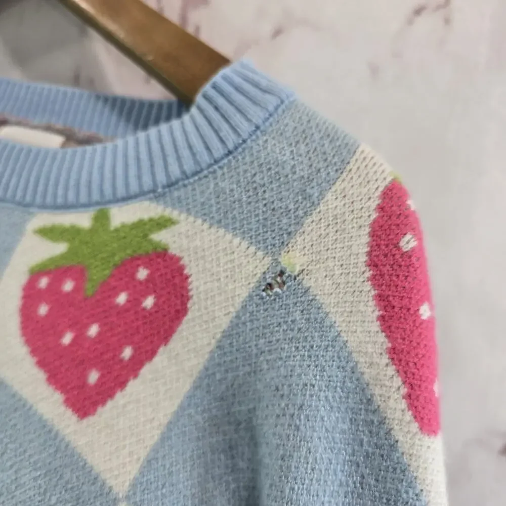 Luna Ivy Sweater Girls Medium Blue Pink Strawbery Checkered Crew T8665